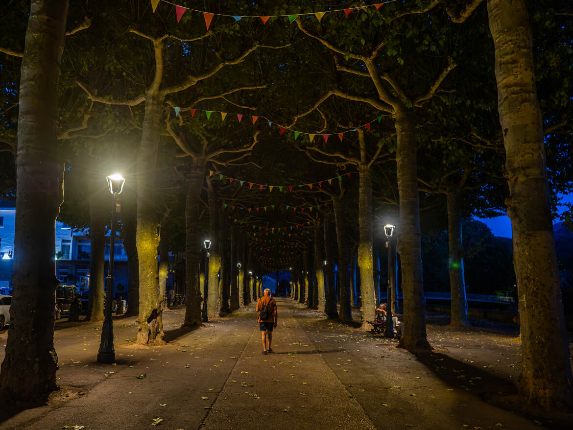 Le promeneur solitaire
