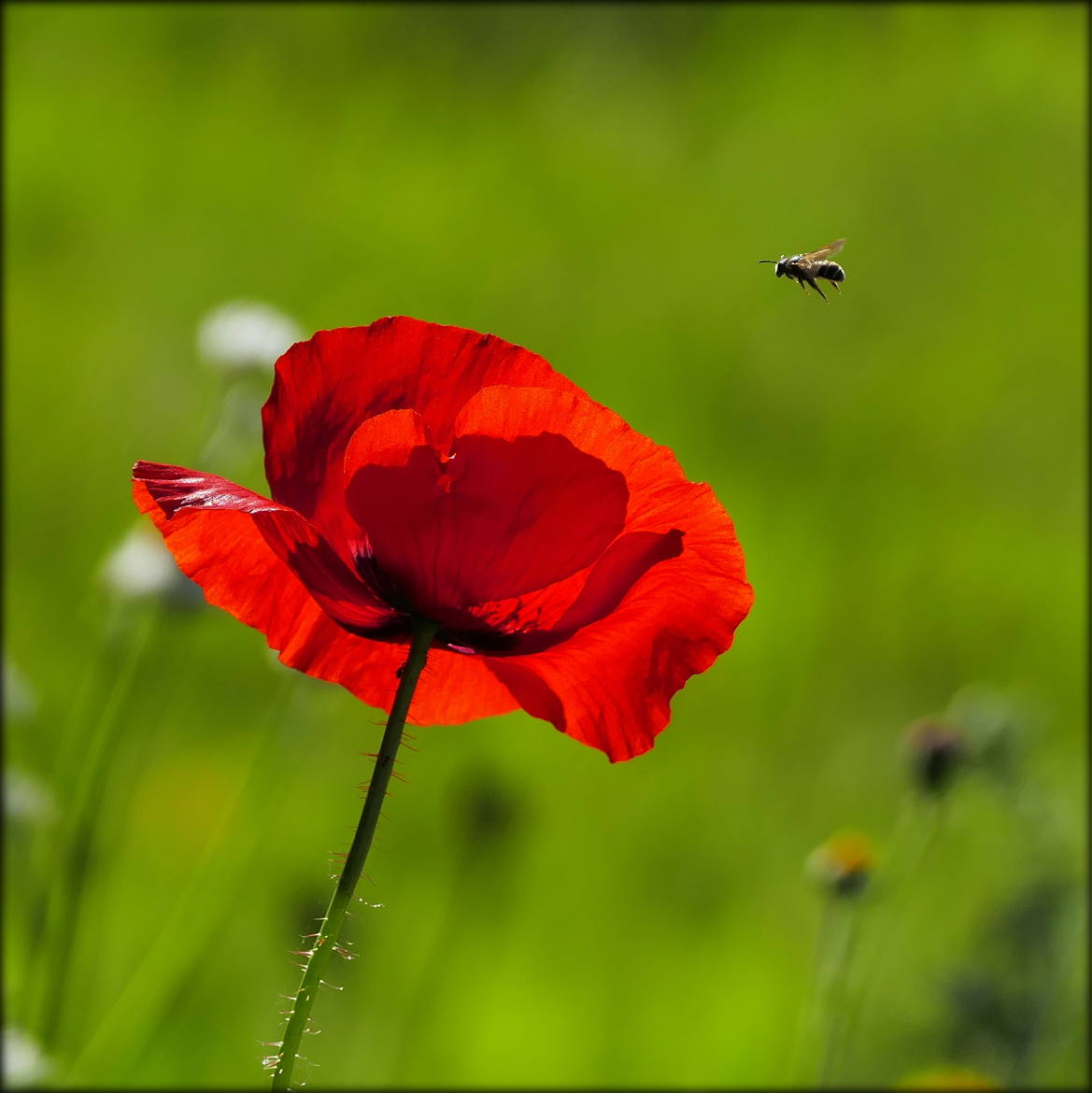 zone rouge en vue