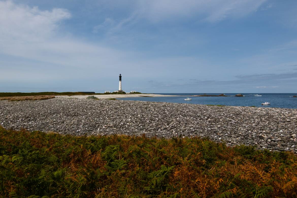 Ne cachez pas ce Sein...