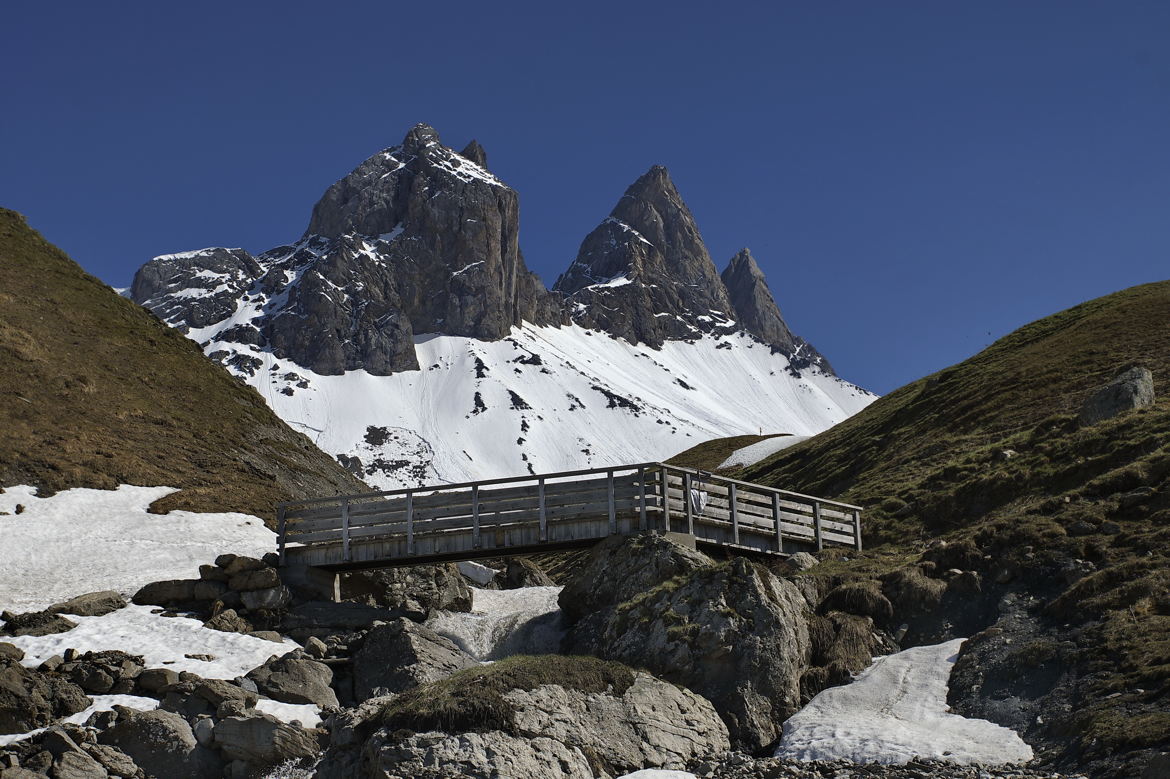 Les aiguilles