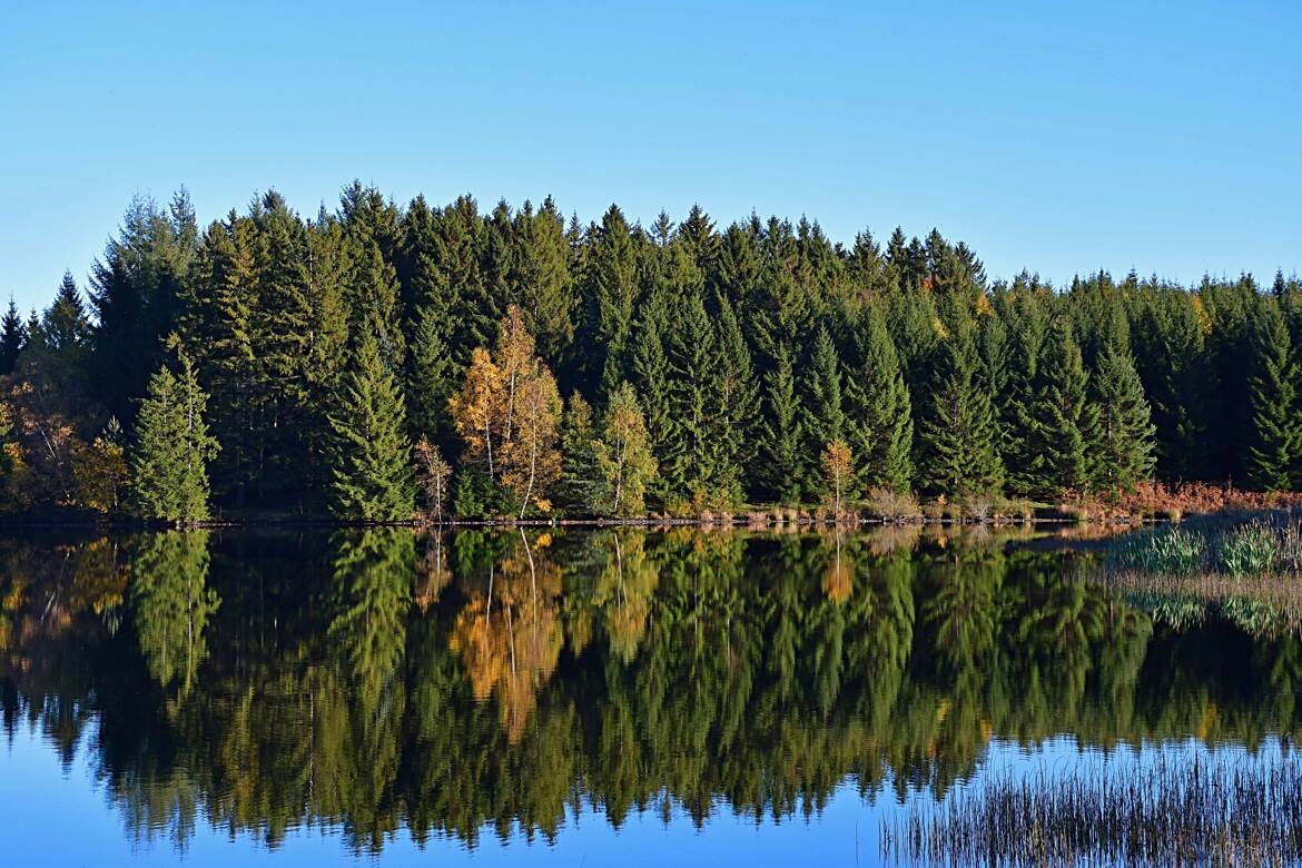 Lac de Devesset (1)