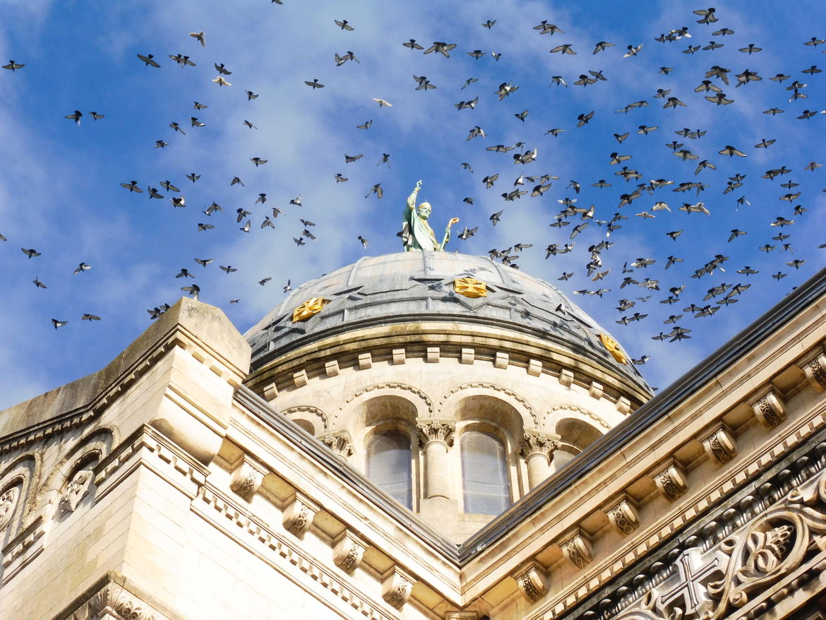 St Martin parlant le langage des oiseaux