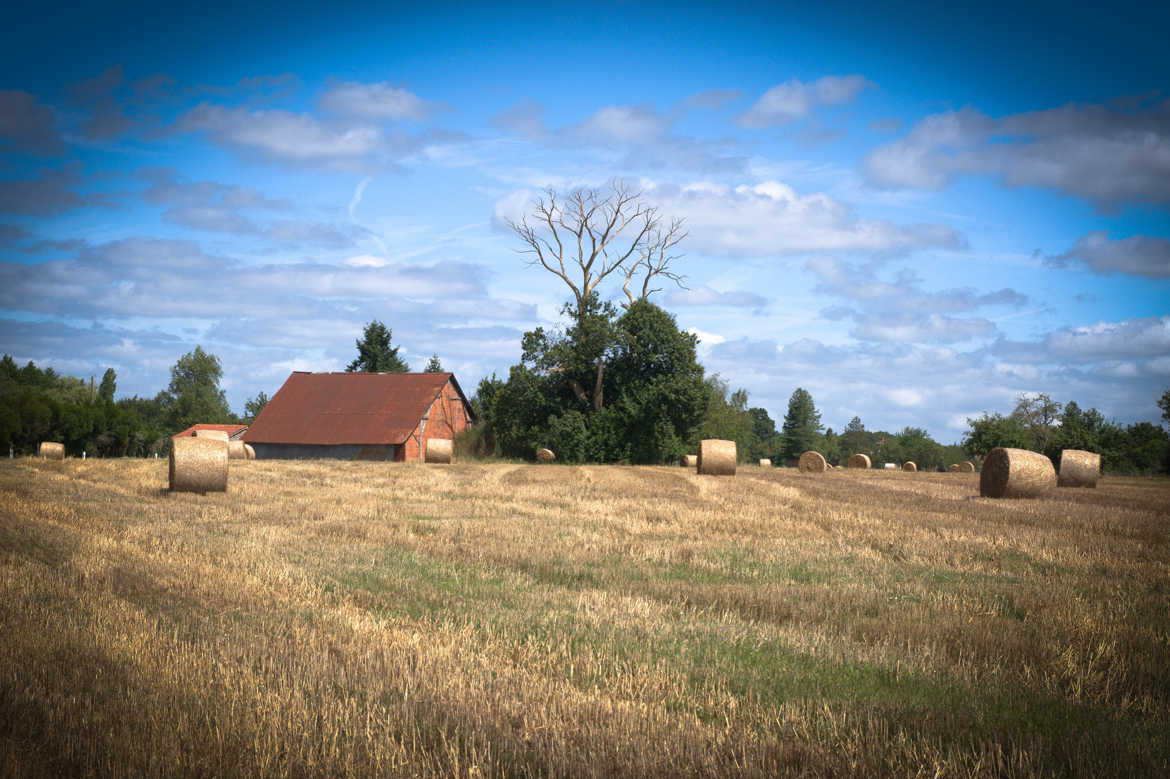 ferme en Sologne