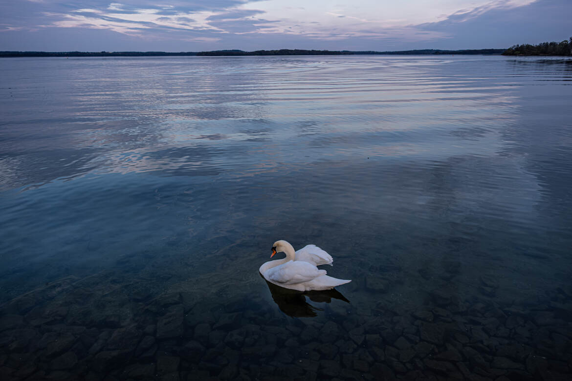 le lac