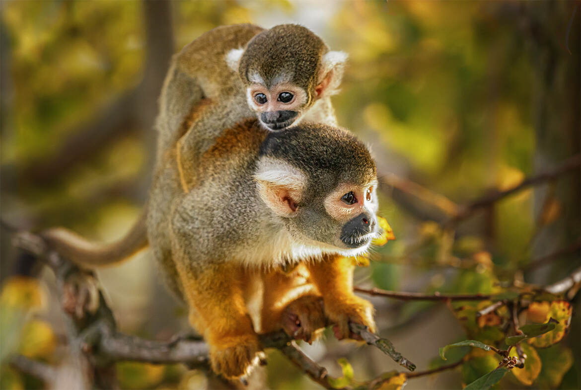 Accroche toiiiii!!!!!!