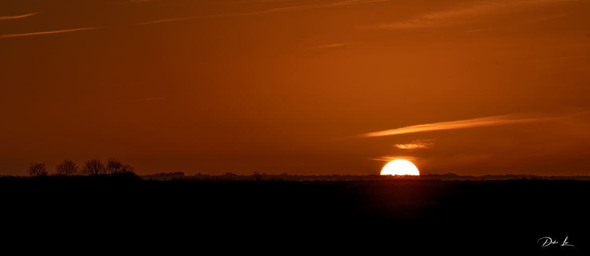 coucher de soleil sur le marais Charentais