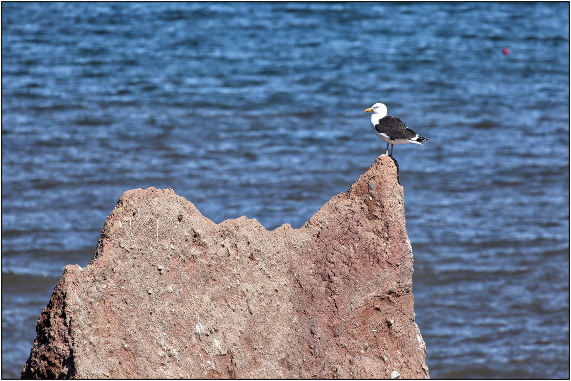 Poste d'observation