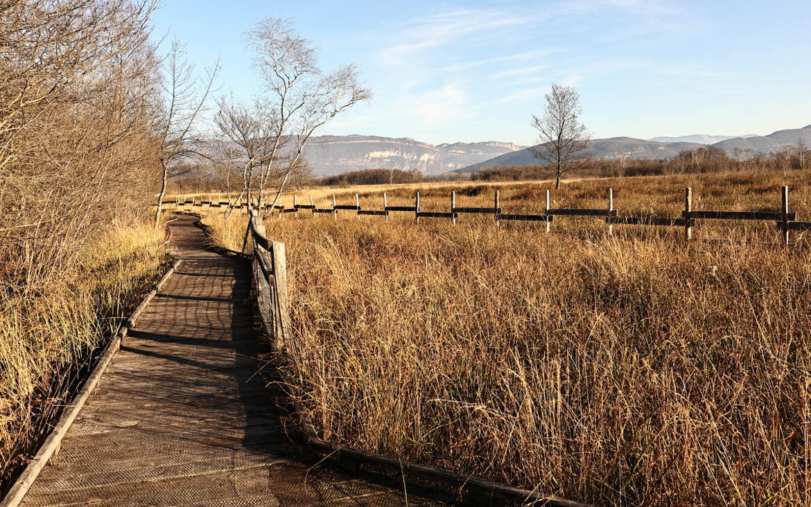 Sent-il la noisette???