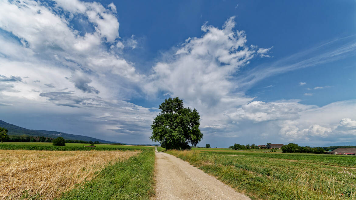 Ciel d'été