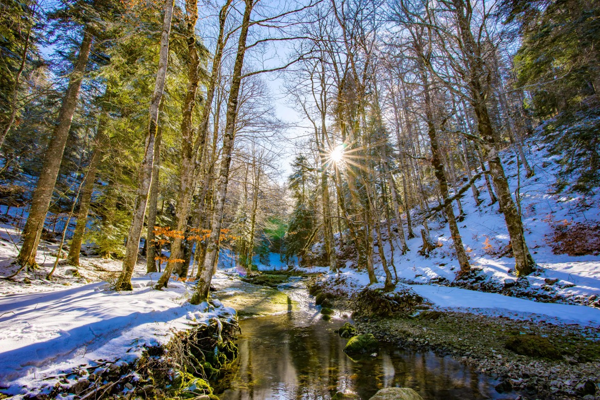 riviere enchantée