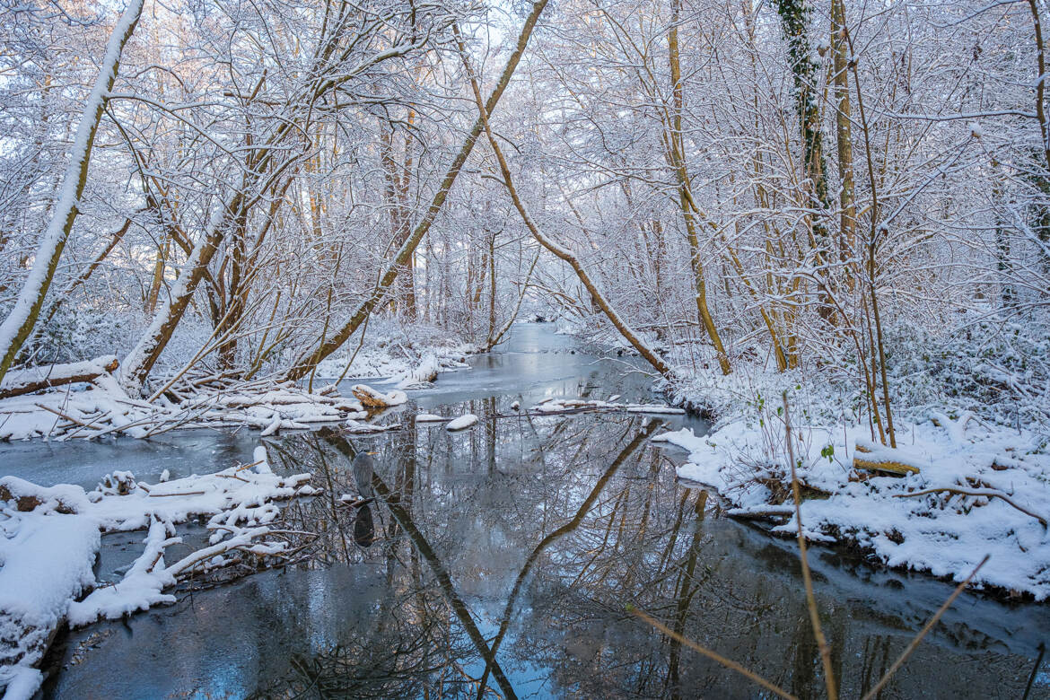 Un ruisseau en hiver