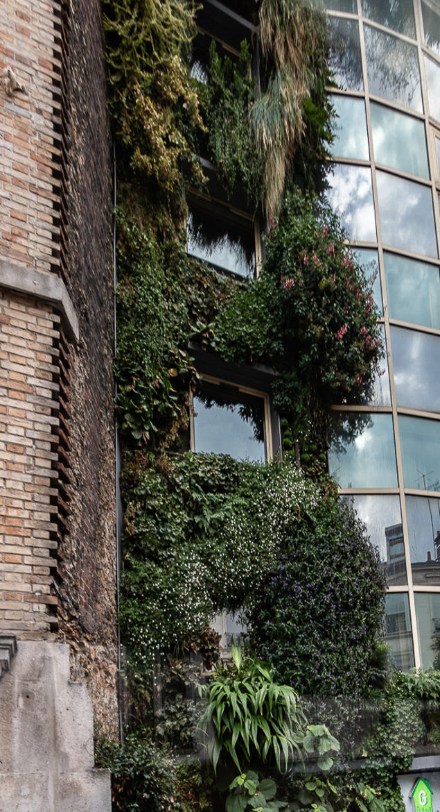 immeuble parisien végétalisé dans PARIS