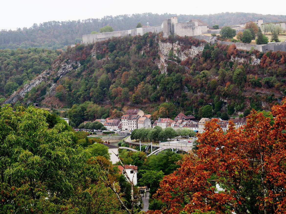 Automne avant l'heure