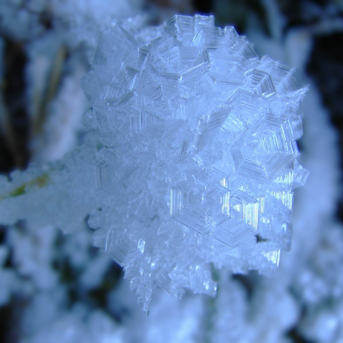 Fleur de givre 1