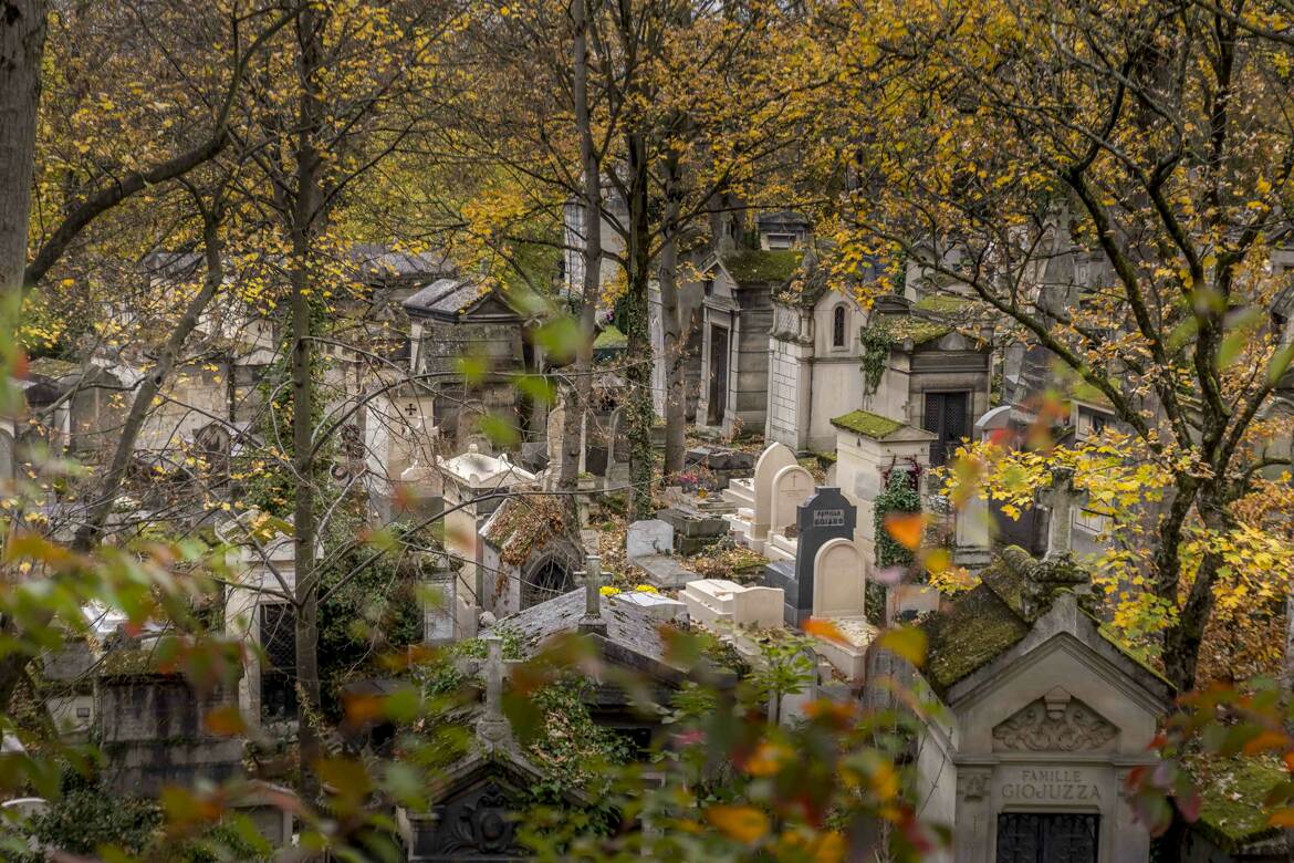 lumières de novembre