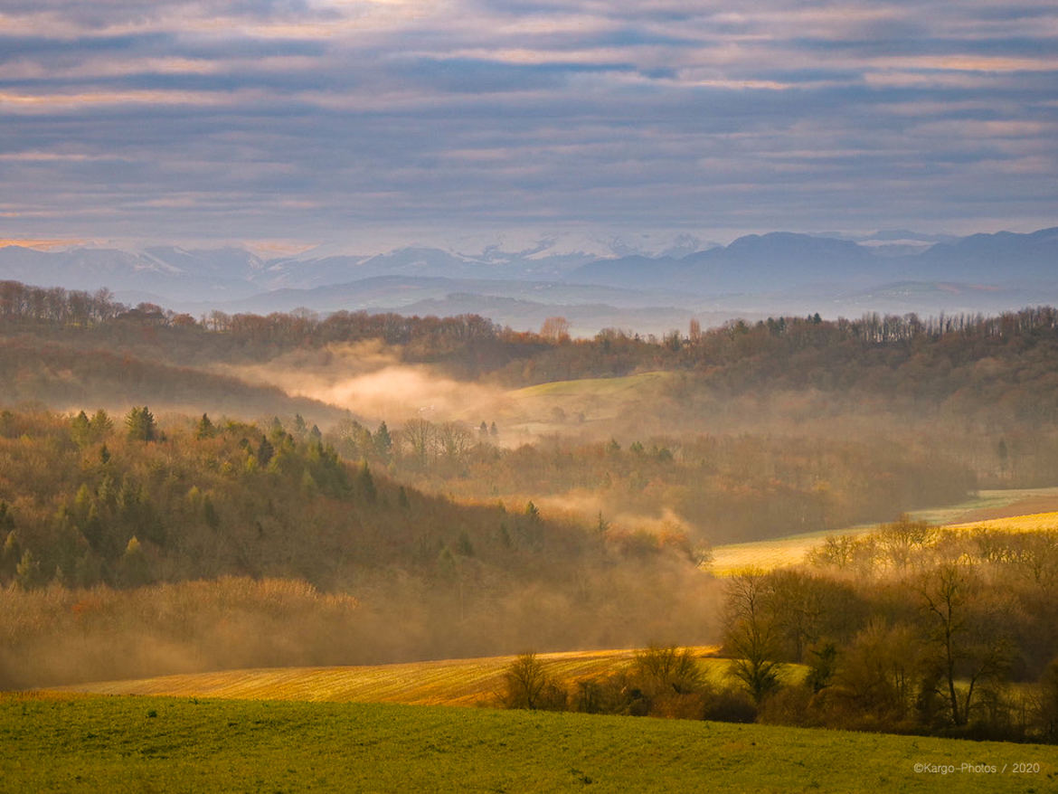 Campagne Béarnaise