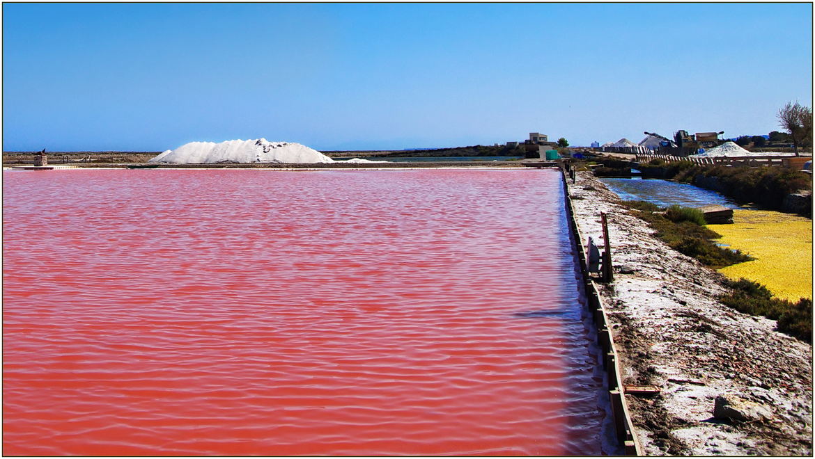 Salines