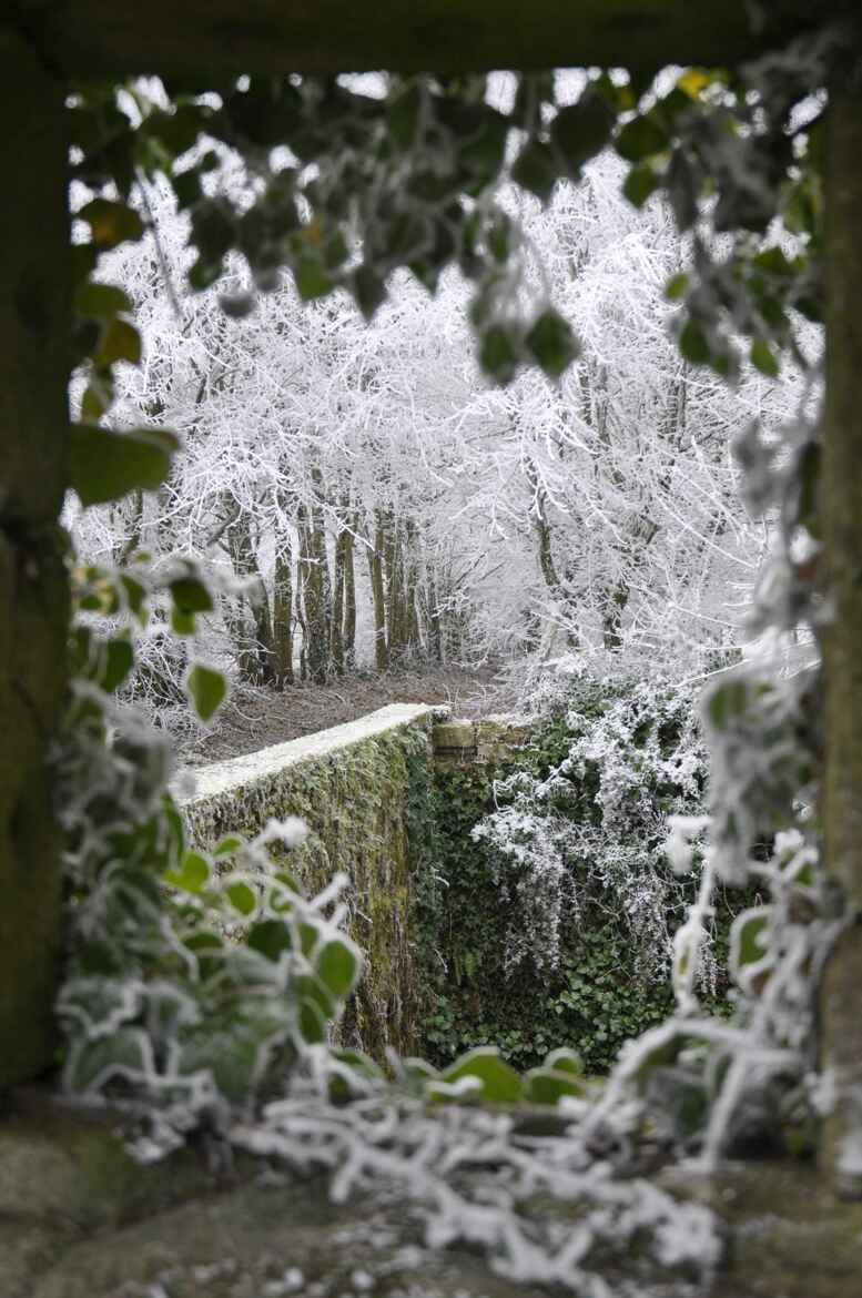 FENETRTE VERS L HIVER