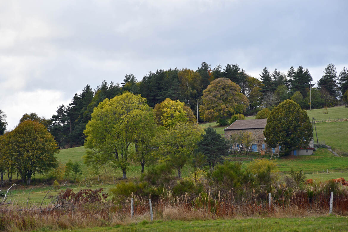 A la campagne... 10.26