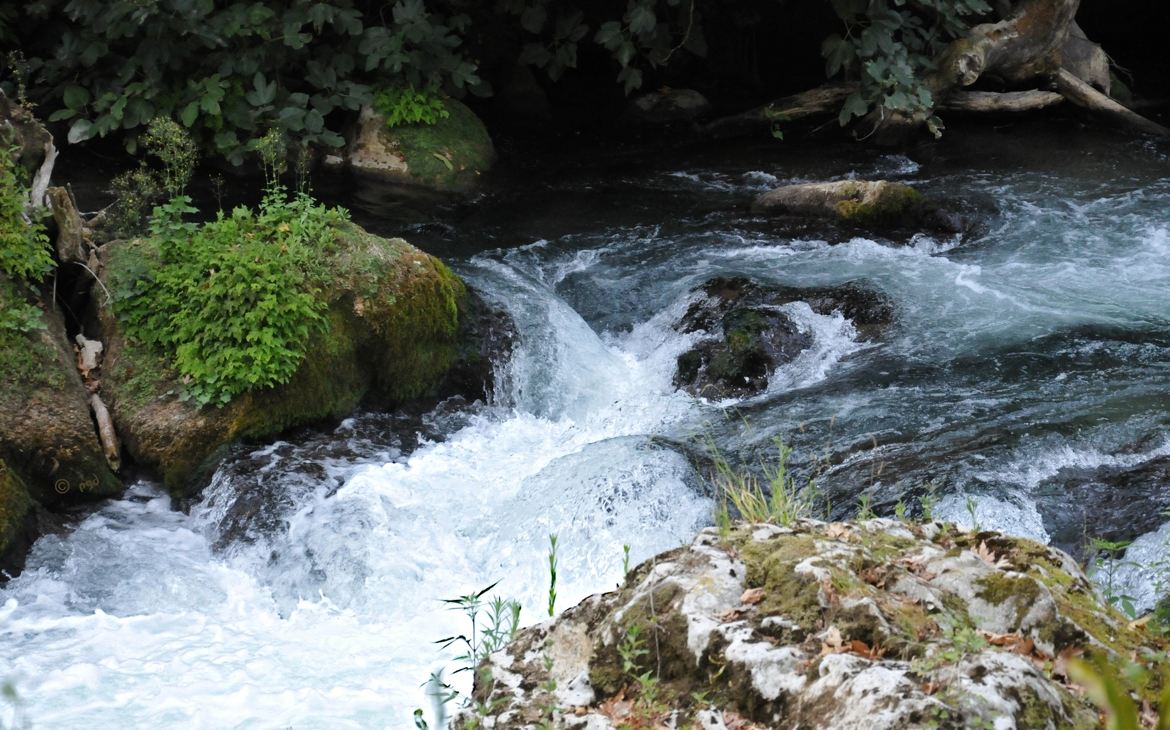 Tumulte... dans un ruisseau