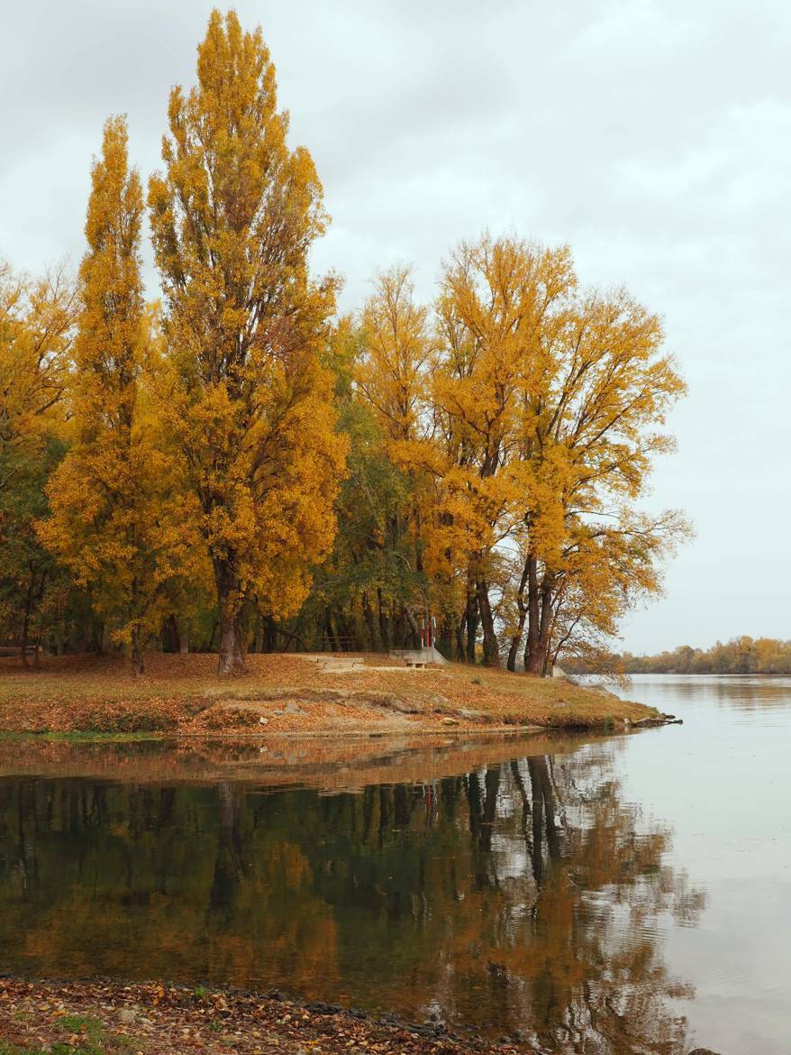 Feuillages en Automne