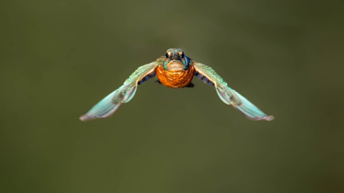 Dans l'axe du photographe