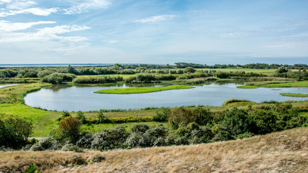 Baie de Somme