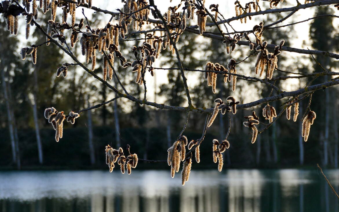 Bientôt le Printemps