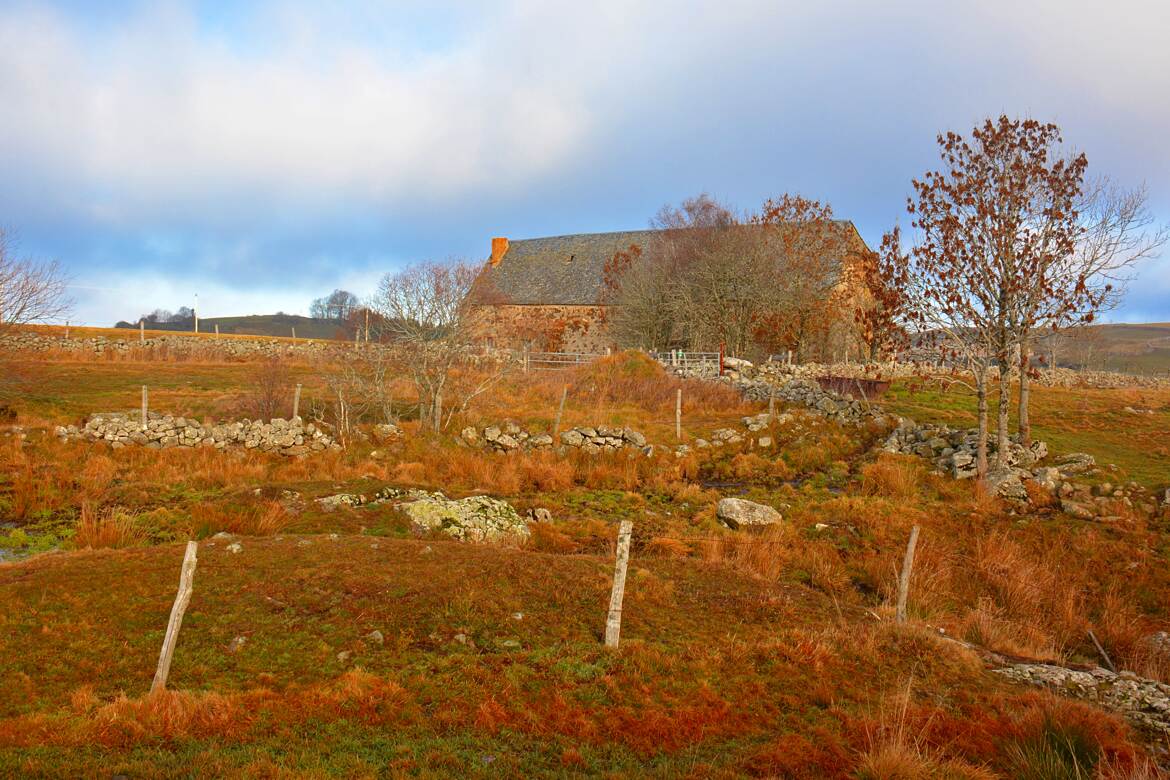 Couleurs d'hiver en Aubrac