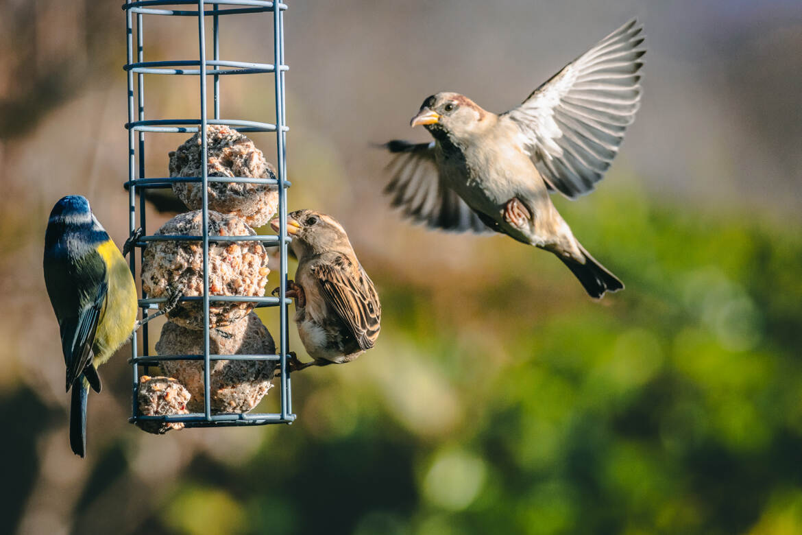 S'il y en a pour 2 il y en a pour 3