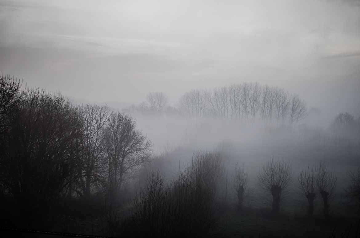 Un matin dans la vallée...