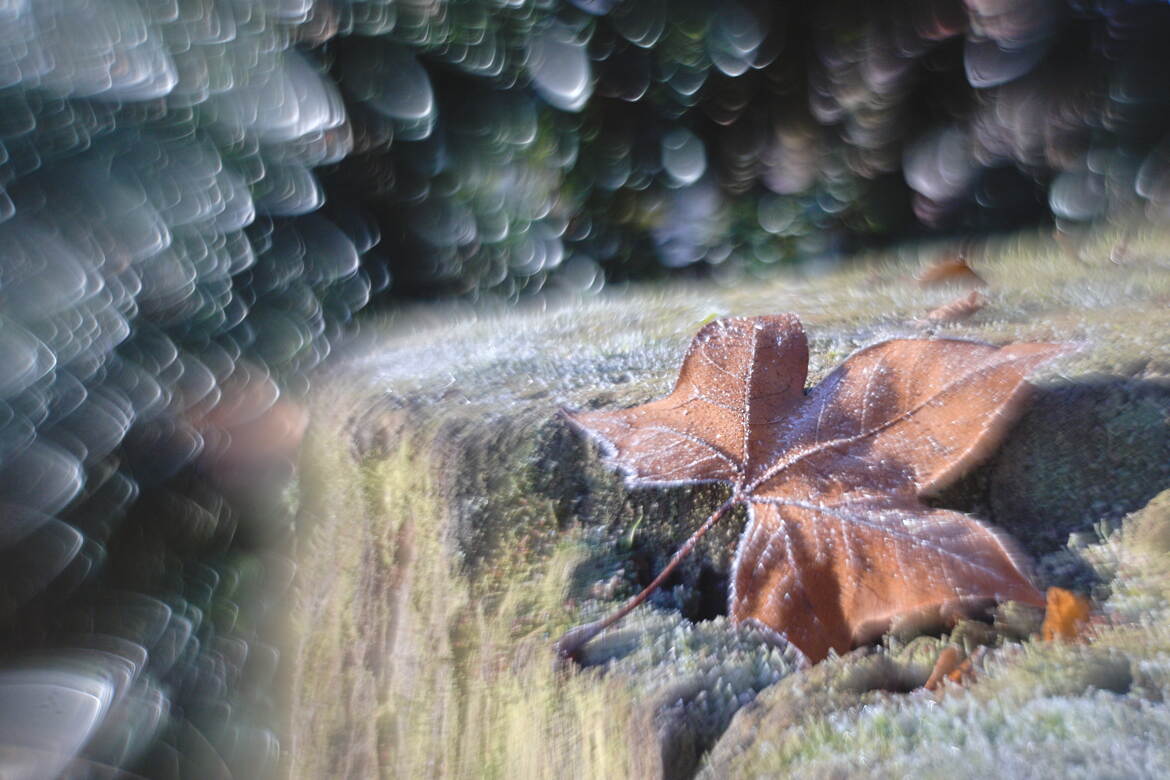 Complètement givré cet hélios !