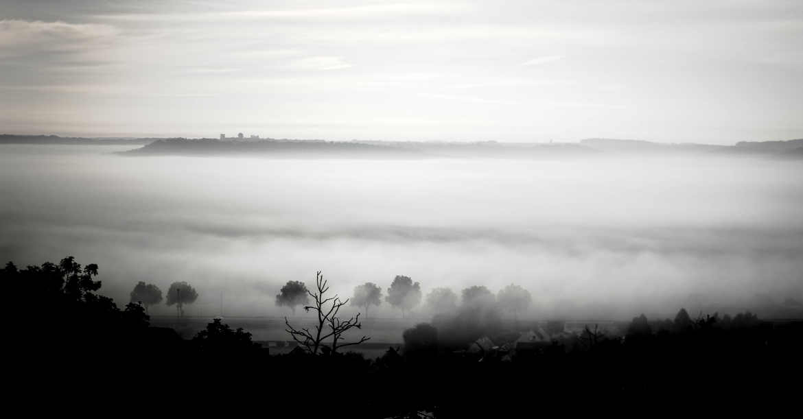 Automne en Noir et Blanc