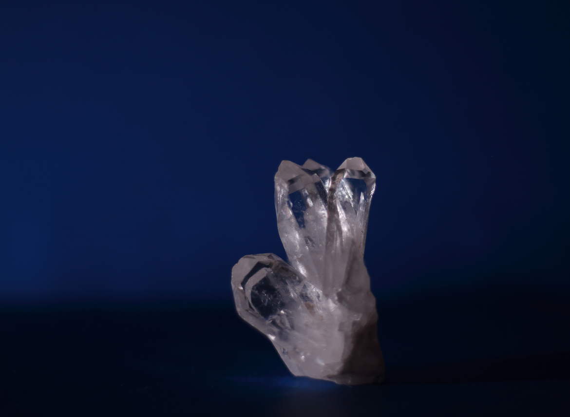 Le trésor dévoilé