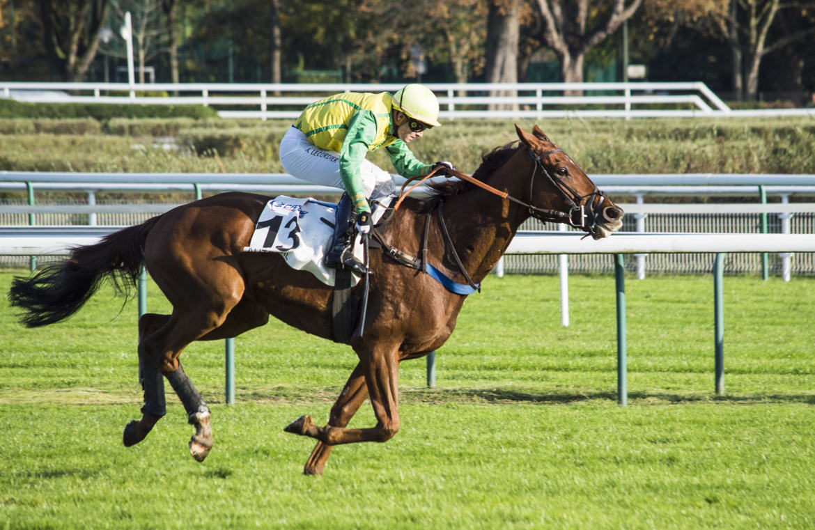 au galop!