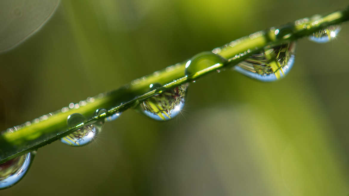 un matin un rayon de soleil