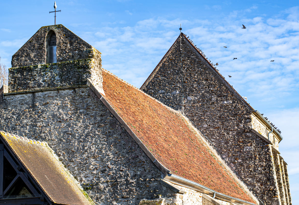 Eglise ancienne et ses pigeons