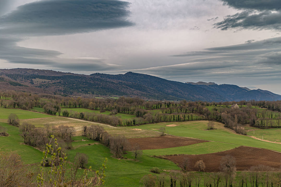 Paysage agricole