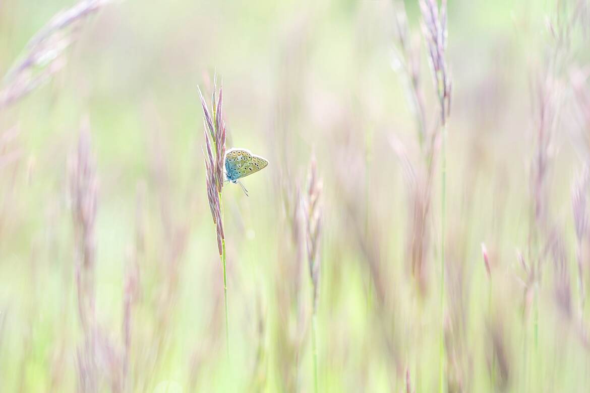 Minimalisme printanier