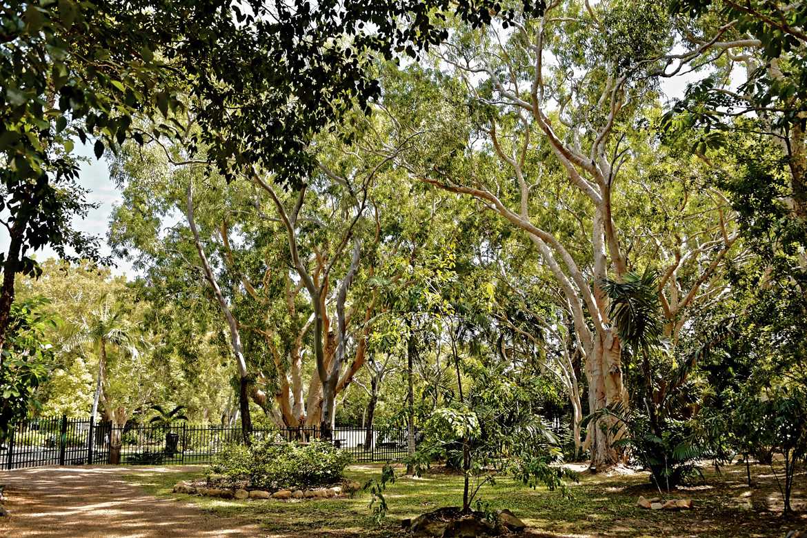 Jardin botanique de Cooktown