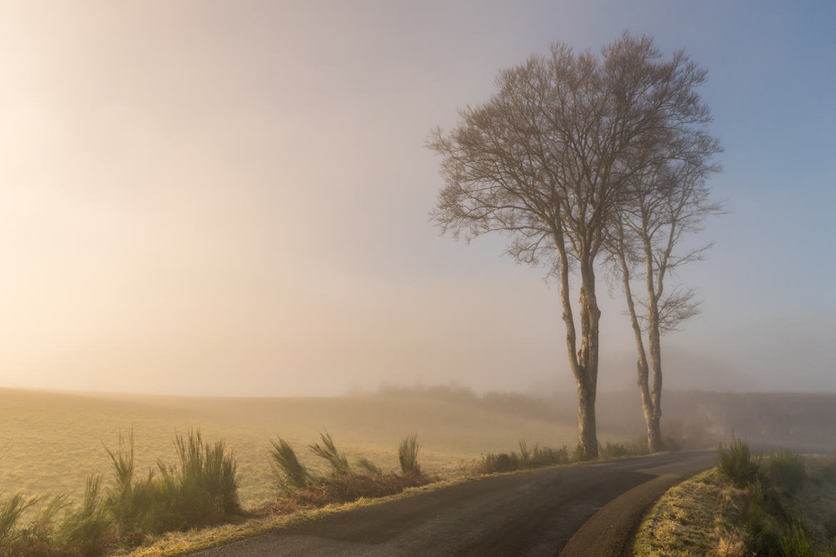 brume ensoleillée