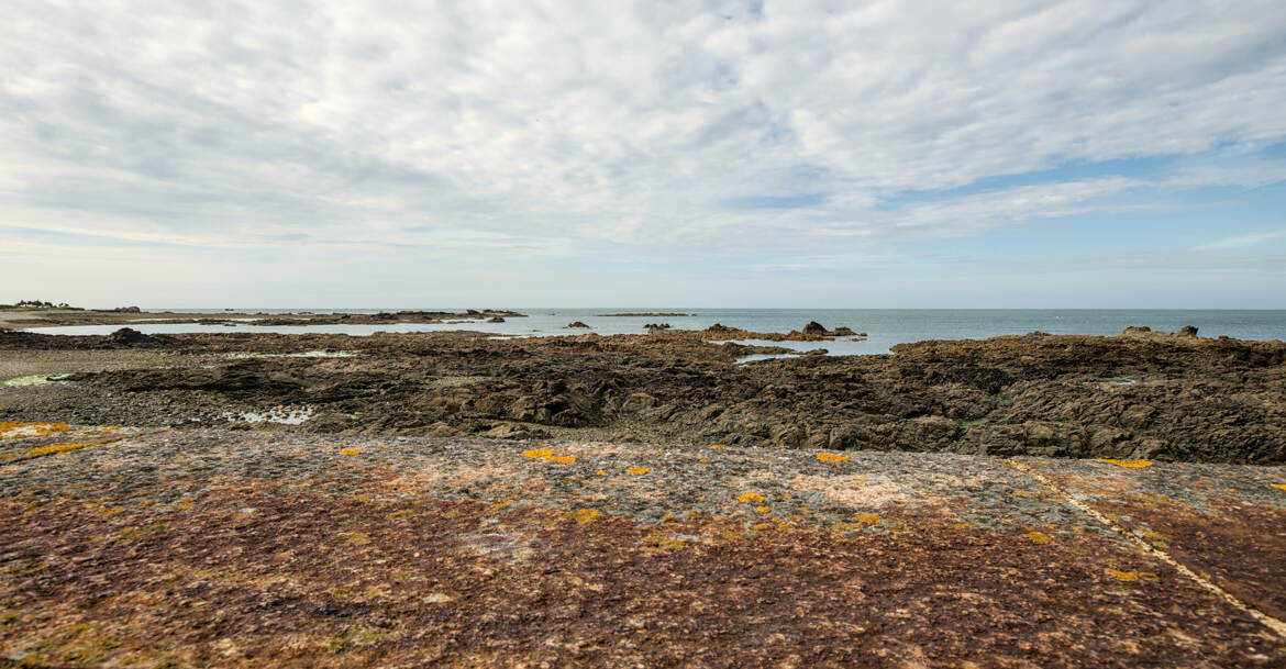 Omonvile la Rogue (4)