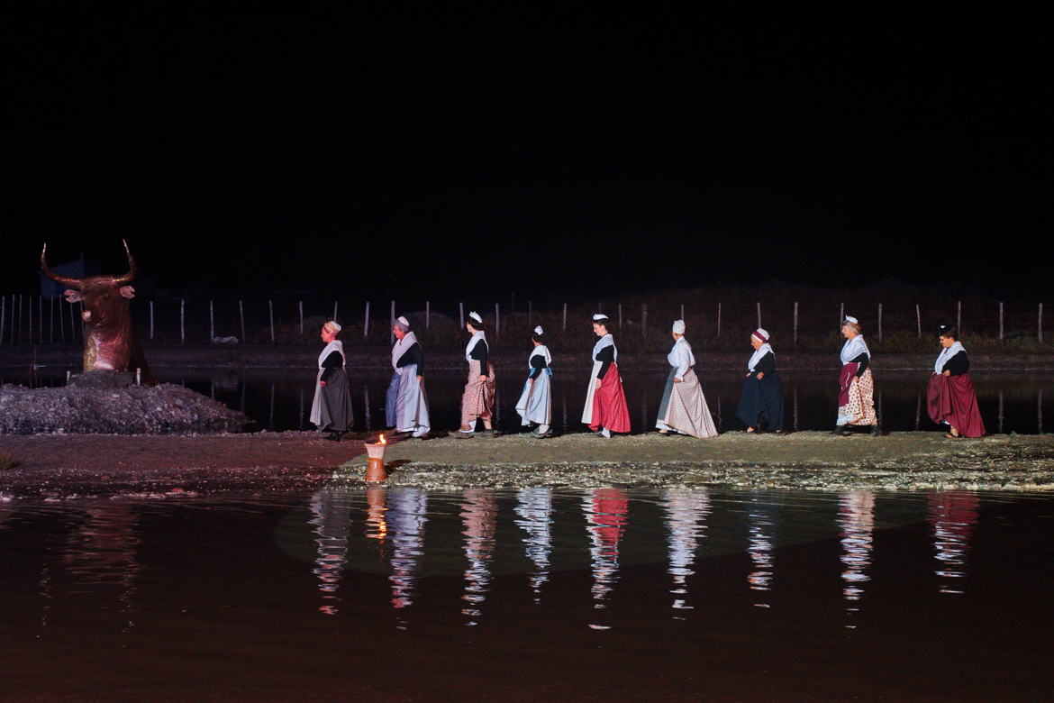 Hommage au taureau camarguais