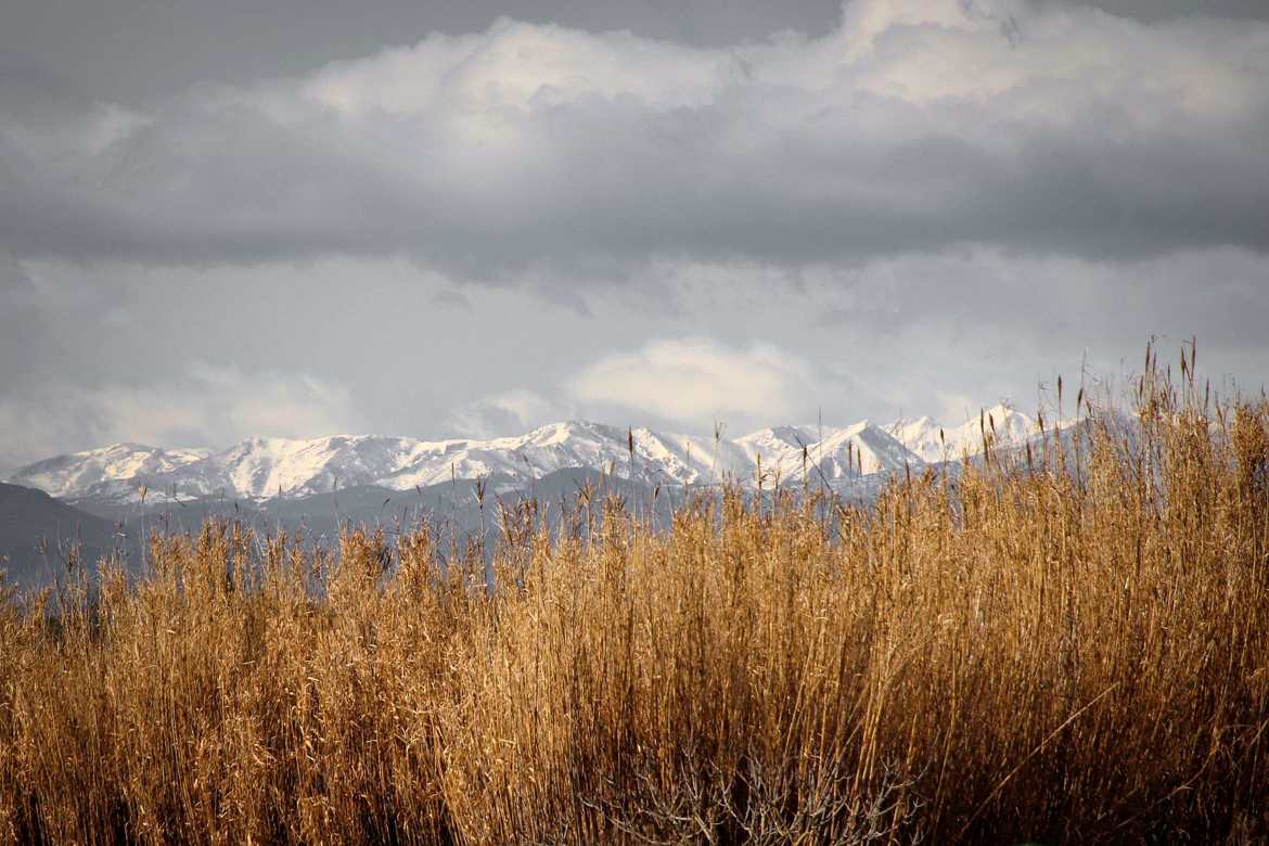 Les Pyrénées catalanes