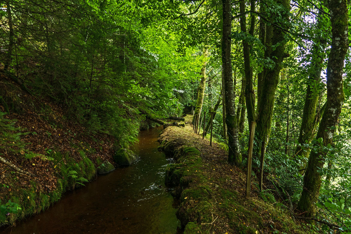 Source qui alimente la fontaine