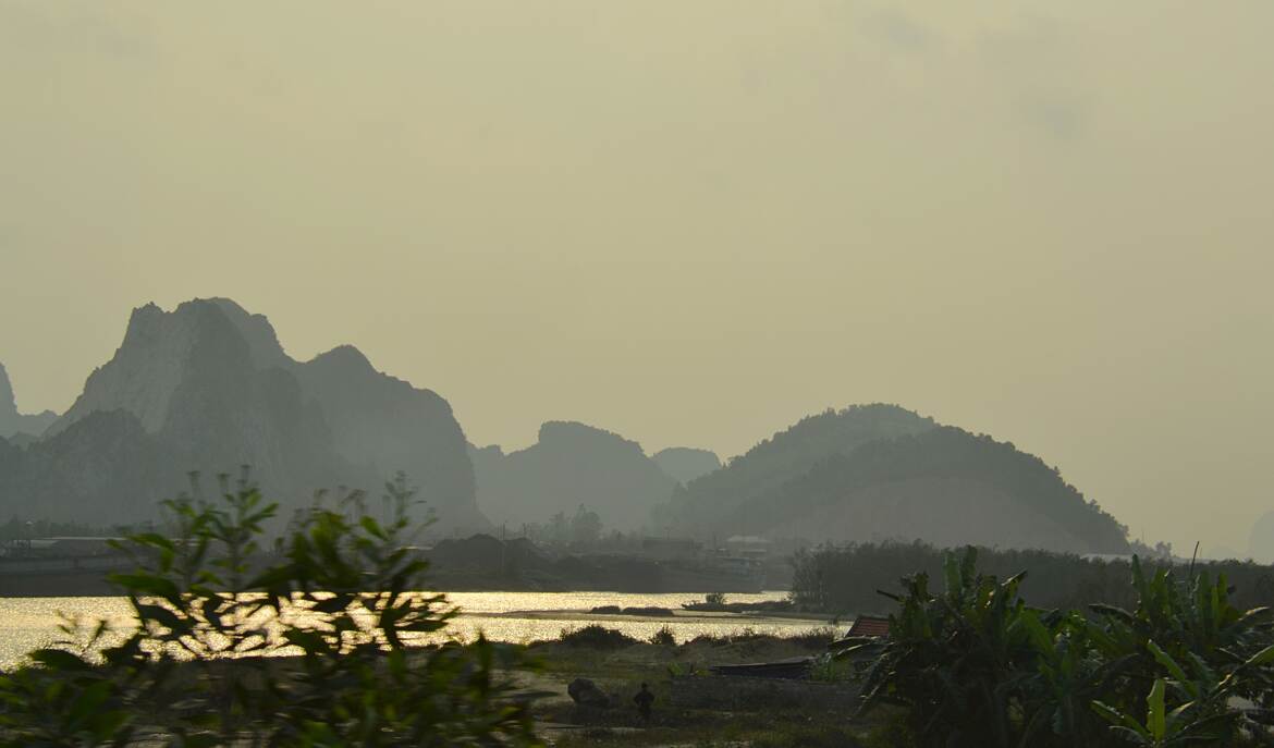 Camaïeu de verts foncés et clairs