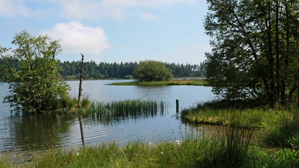 Lac de Servières (1)