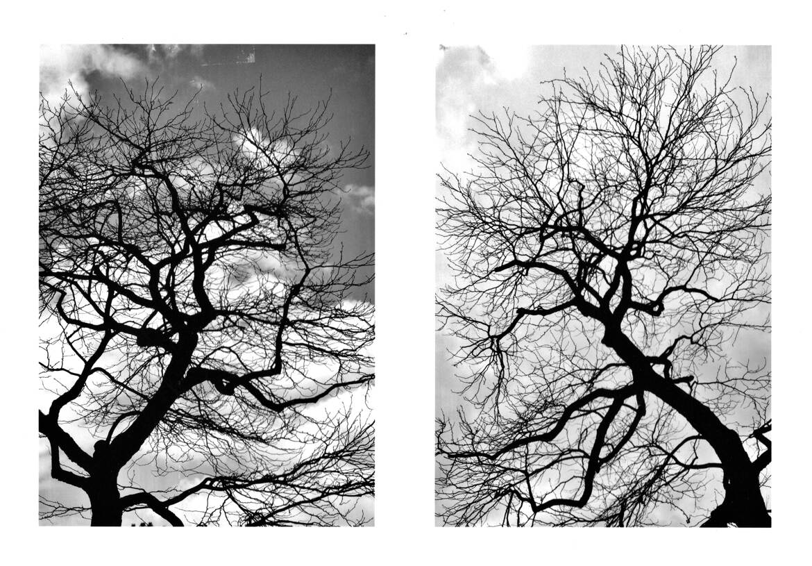 En attendant le printemps