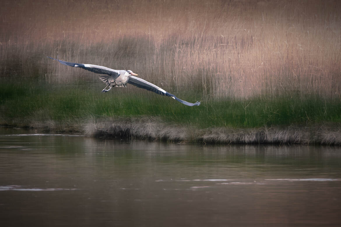 Le planeur