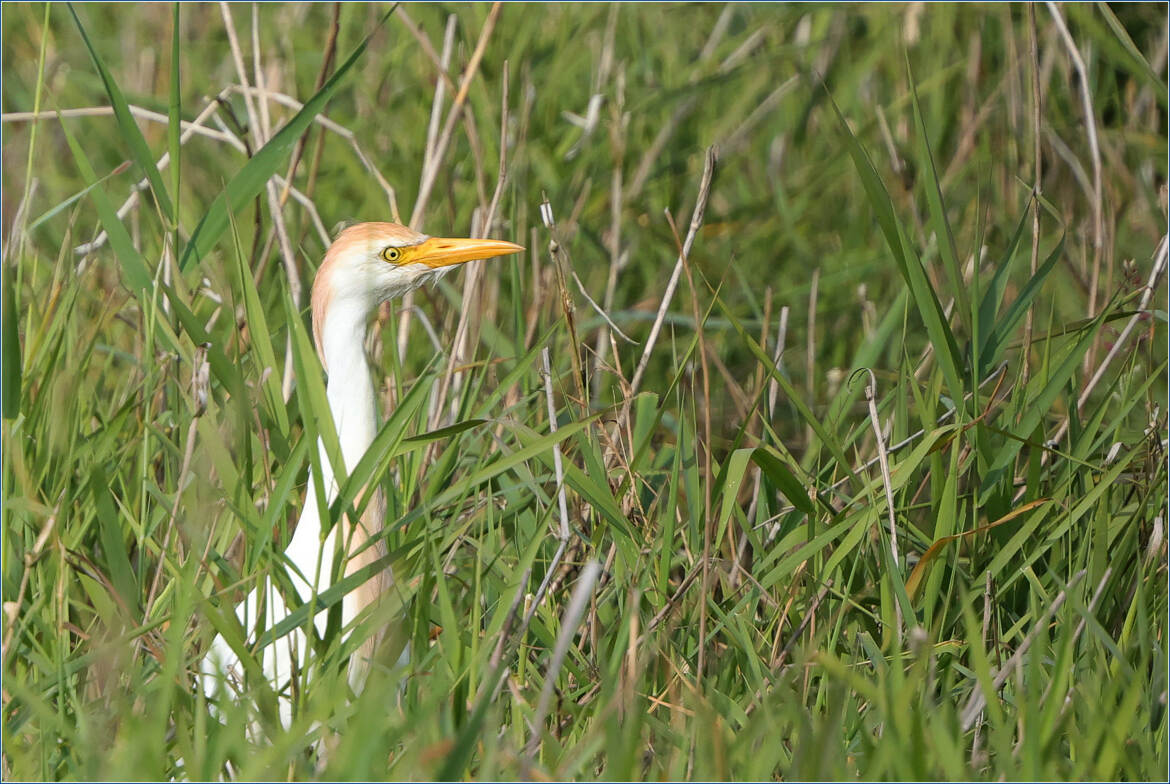 ça y est, j'suis encore perdu !
